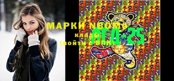 прущие грибы Горно-Алтайск