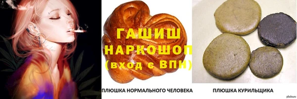 прущие грибы Горно-Алтайск