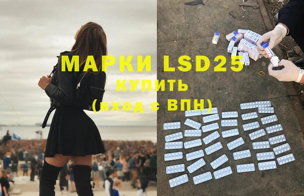 прущие грибы Горно-Алтайск