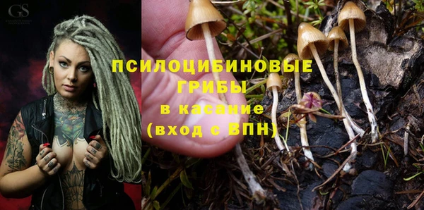 COCAINE Горняк