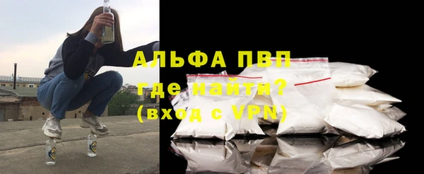 прущие грибы Горно-Алтайск