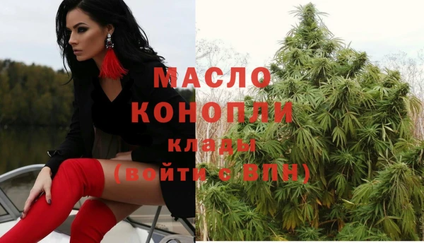 прущие грибы Горно-Алтайск