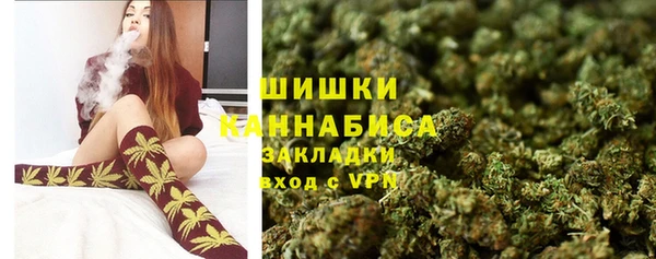 крисы Горнозаводск