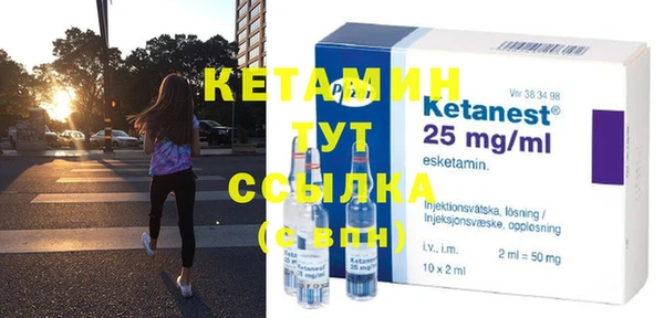 прущие грибы Горно-Алтайск