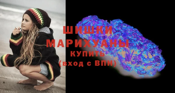 прущие грибы Горно-Алтайск