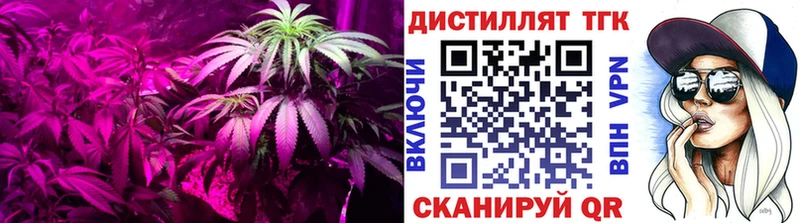 Купить  Сольцы  Дистиллят ТГК гашишное масло 