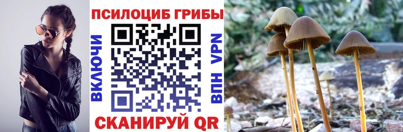 Галлюциногенные грибы мухоморы  Купить где  Сольцы 